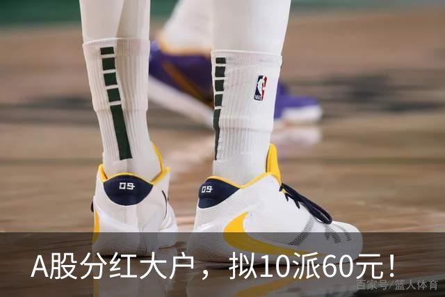 A股分红大户，拟10派60元！